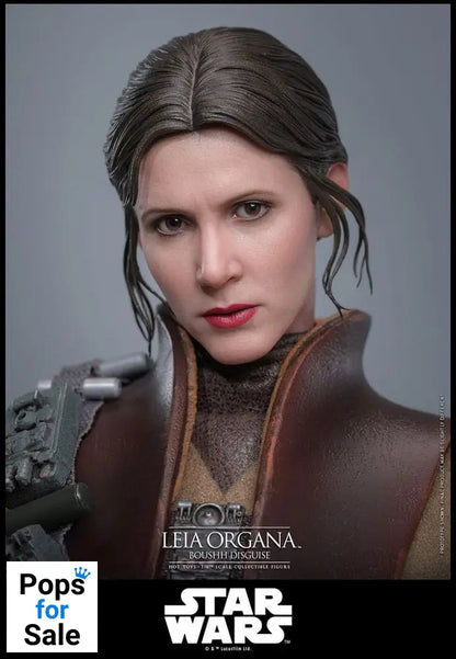 Star Wars Episode VI Movie Masterpiece Action Figure 1/6 Leia Organa (Boushh Disguise) 27 cm