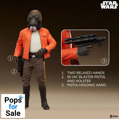 Star Wars Scum & Villainy Action Figure 1/6 Ponda Baba 30 cm Action figures