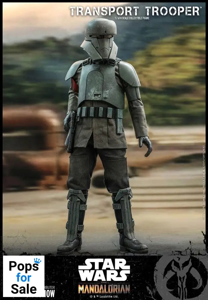 Star Wars The Mandalorian Action Figure 1/6 Transport Trooper 31 cm