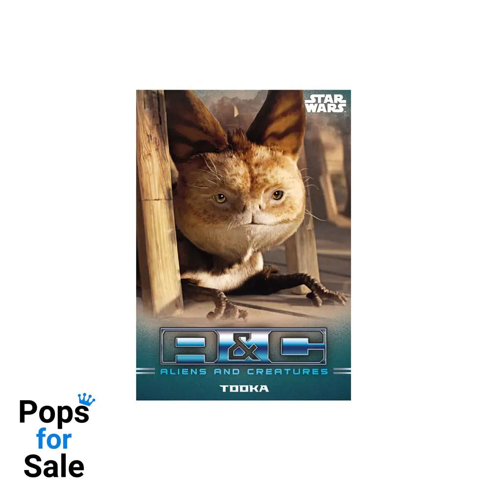 Star Wars: The Mandalorian Trading Cards Starter Pack *English Version*