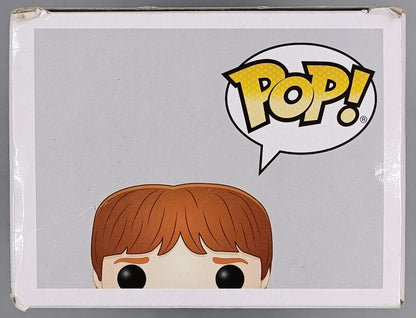 28 Ron Weasley (Sweater) - Harry Potter - Funko POP - Box Damaged