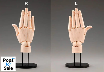 Takahiro Kagami PVC Artist Support Item Hand 1/1 Model/L Pale Orange 21 cm