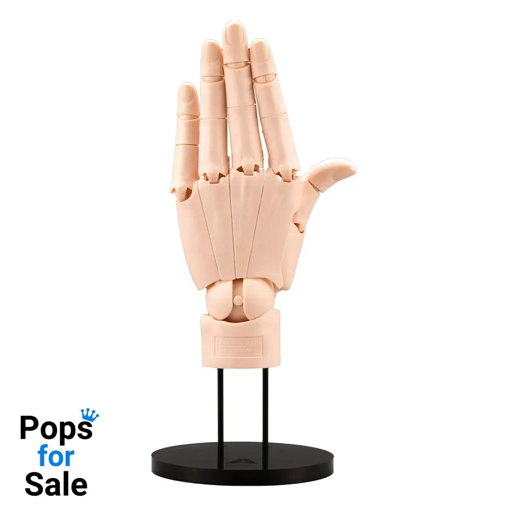 Takahiro Kagami PVC Artist Support Item Hand 1/1 Model/L Pale Orange 21 cm Statues