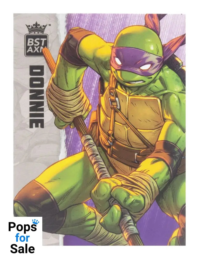 Teenage Mutant Ninja Turtles BST AXN Action Figure Donatello (IDW Comics) 13 cm