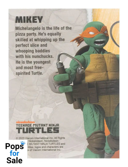 Teenage Mutant Ninja Turtles BST AXN Action Figure Michelangelo (IDW Comics) 13 cm