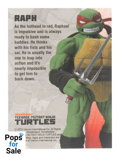 Teenage Mutant Ninja Turtles BST AXN Action Figure Raphael (IDW Comics) 13 cm