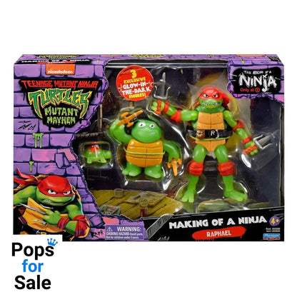 Teenage Mutant Ninja Turtles: Mutant Mayhem Action Figure Evolution Assortment (6)
