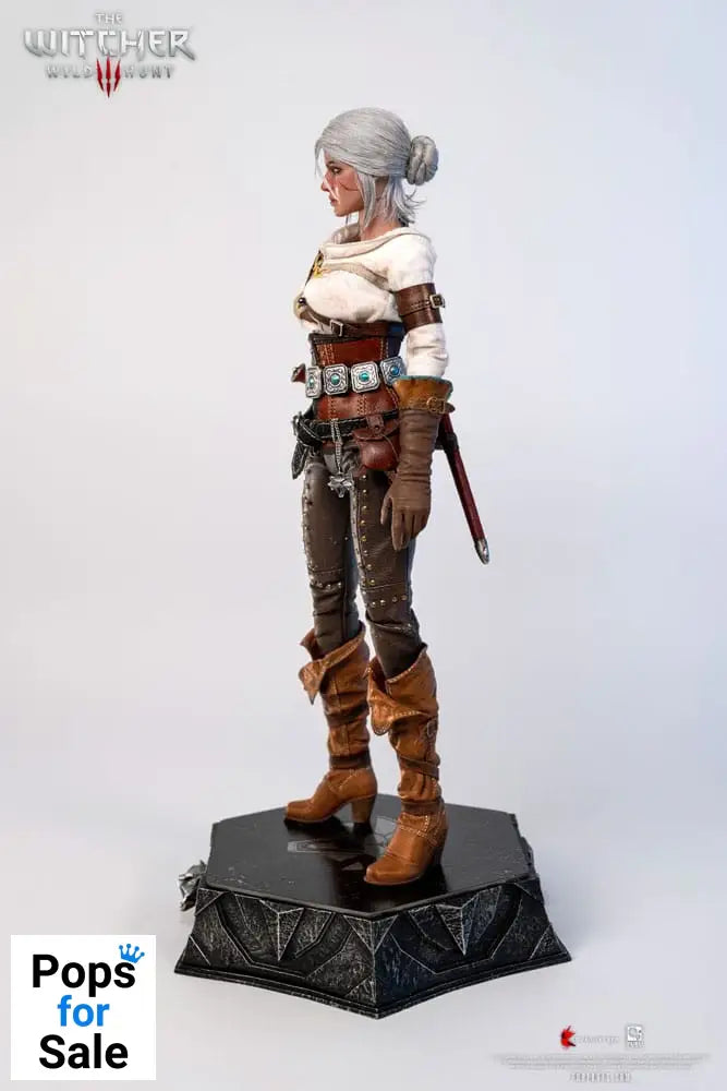 The Witcher 3: Wild Hunt Action Figure 1/6 Ciri of Cintra 30 cm