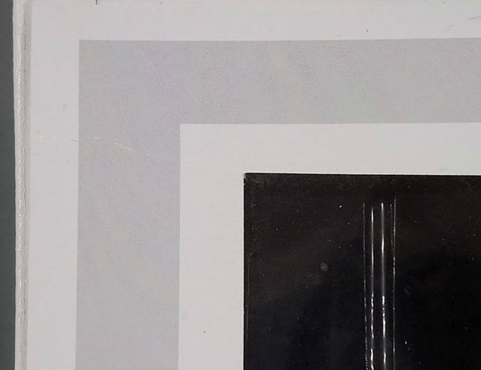 76 Mulan Riding Khan - Disney Mulan - Funko POP - Box Damaged