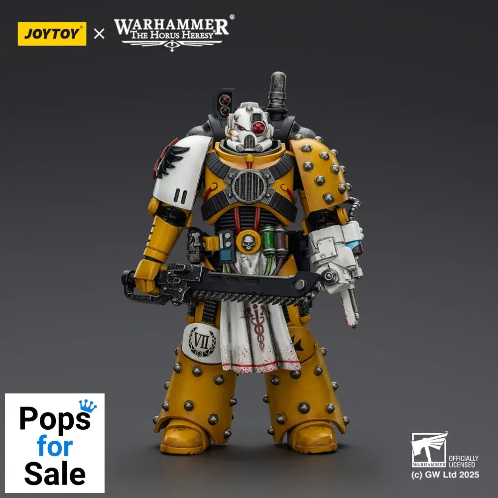 Warhammer 40,000: imperial Fists Action Figure Legion Apothecary 12 cm