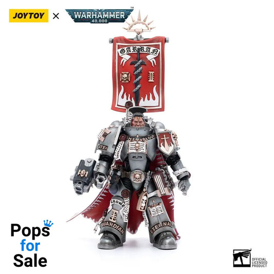 Warhammer 40k Action Figure 1/18 Grey Knights Castellan Crowe 12 cm