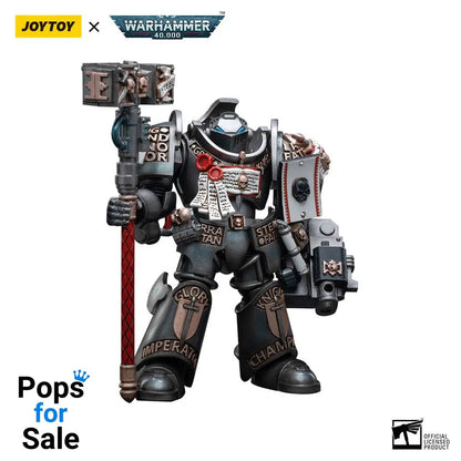 Warhammer 40k Action Figure 1/18 Grey Knights Terminator Caddon Vibova 13 cm