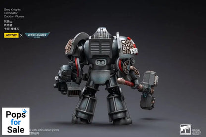 Warhammer 40k Action Figure 1/18 Grey Knights Terminator Caddon Vibova 13 cm