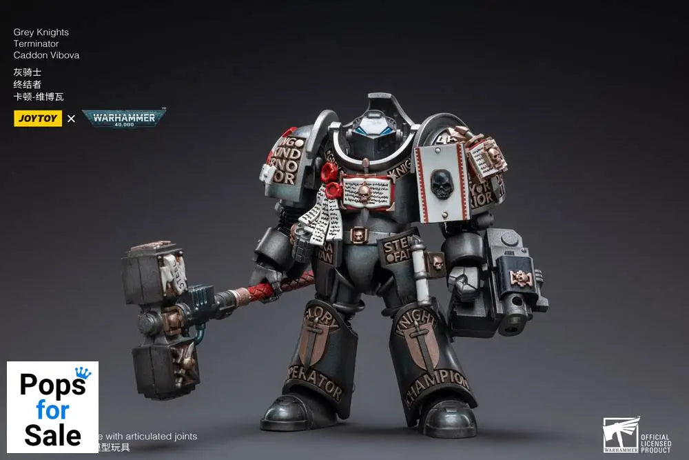 Warhammer 40k Action Figure 1/18 Grey Knights Terminator Caddon Vibova 13 cm