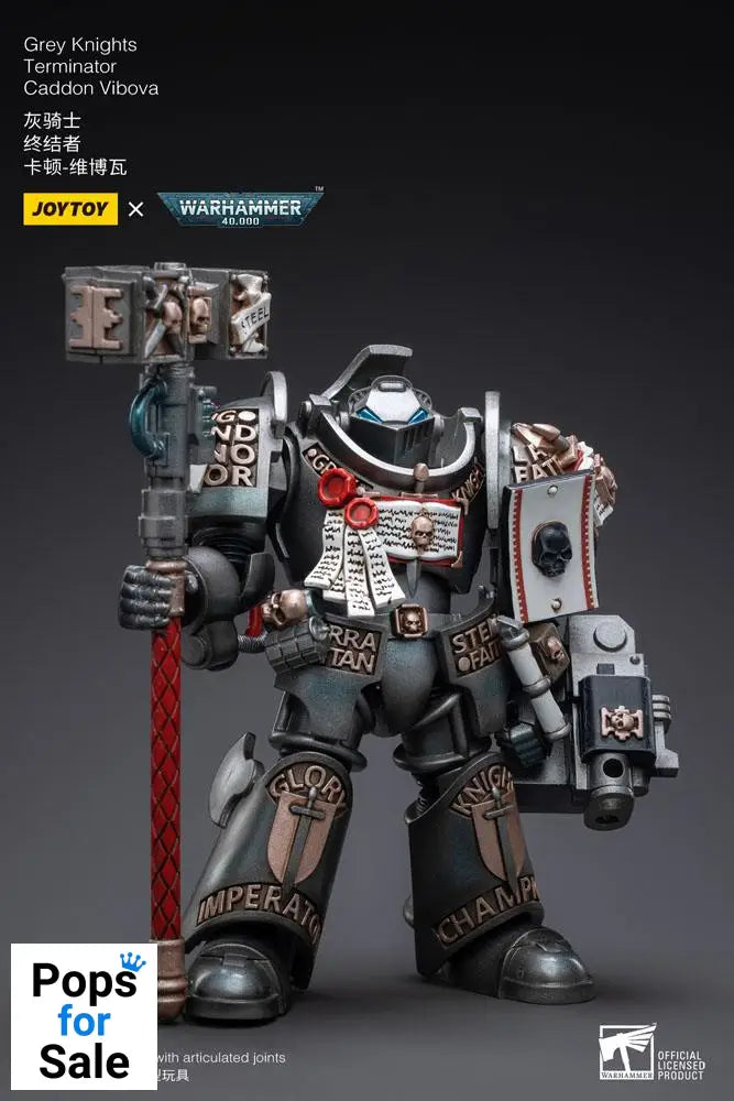 Warhammer 40k Action Figure 1/18 Grey Knights Terminator Caddon Vibova 13 cm