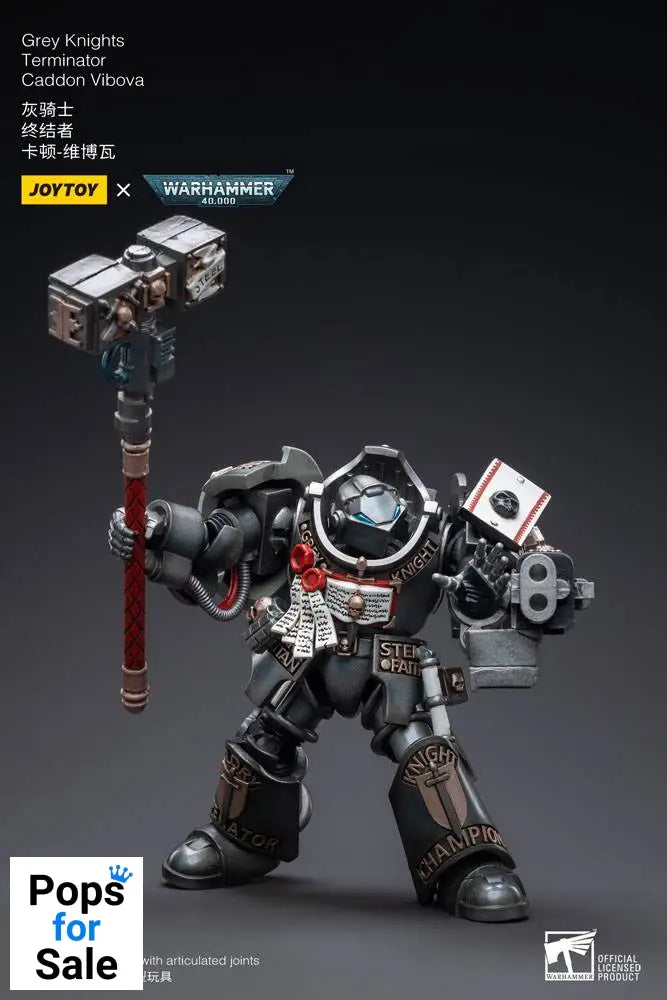 Warhammer 40k Action Figure 1/18 Grey Knights Terminator Caddon Vibova 13 cm