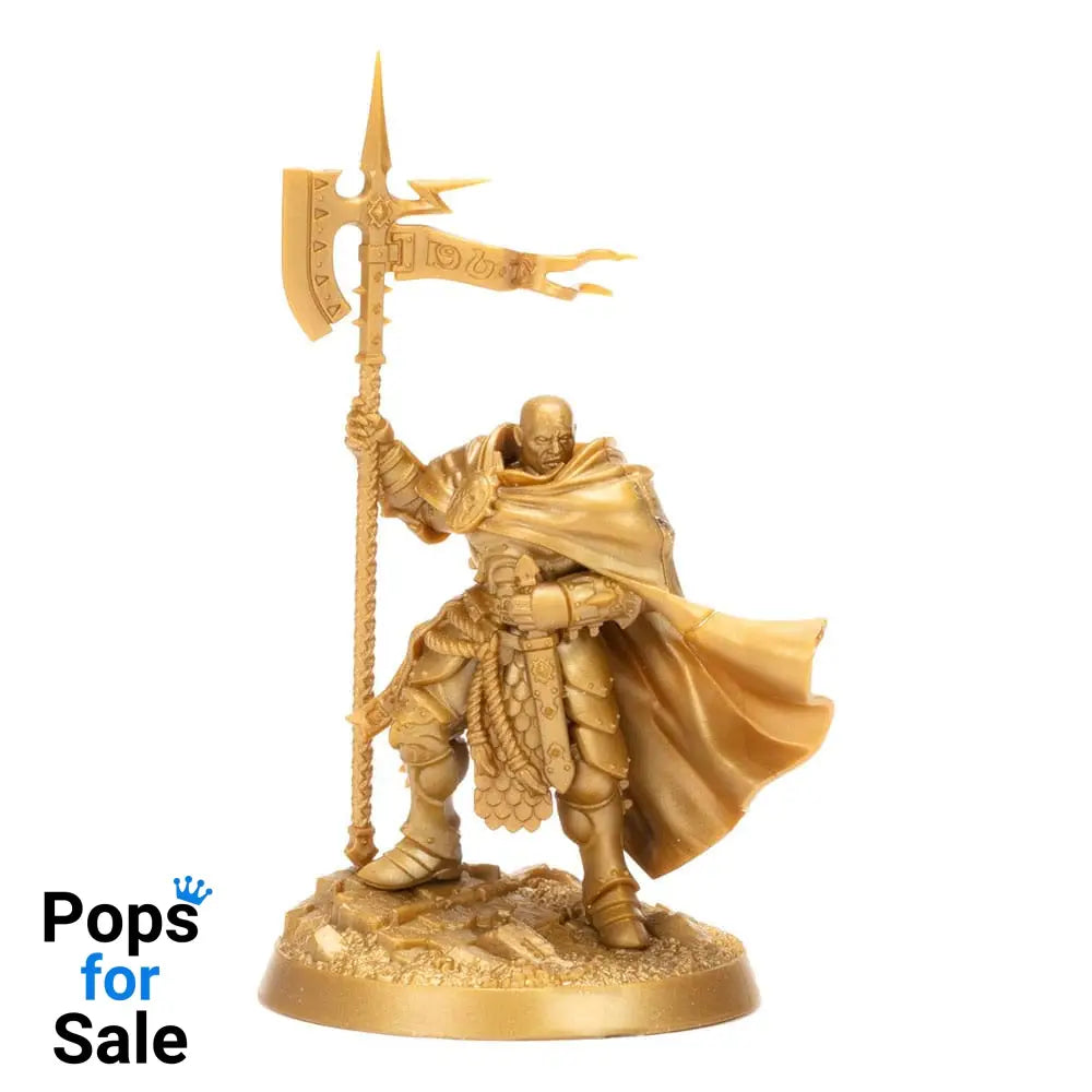 Warhammer Age of Sigmar Miniatures Warhammer Heroes: Stormcast Eternals Display (8)