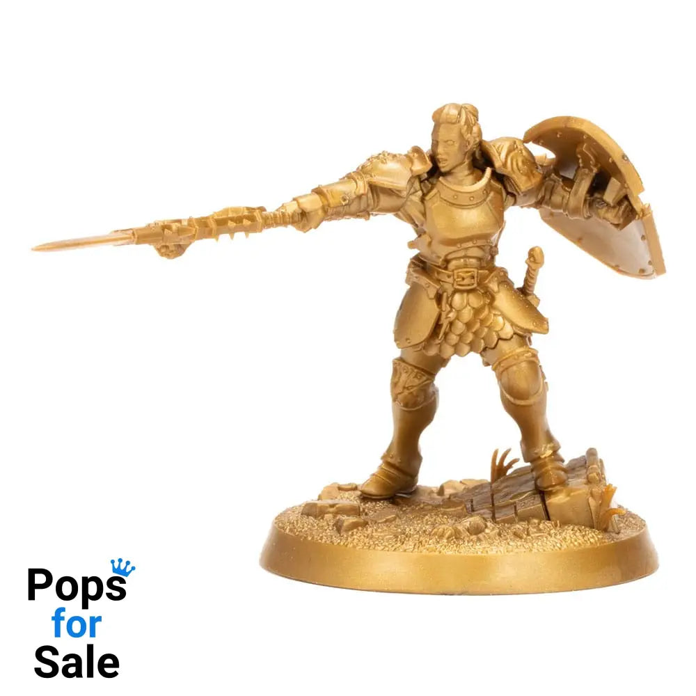 Warhammer Age of Sigmar Miniatures Warhammer Heroes: Stormcast Eternals Display (8) Miniature Gaming & Tabletop