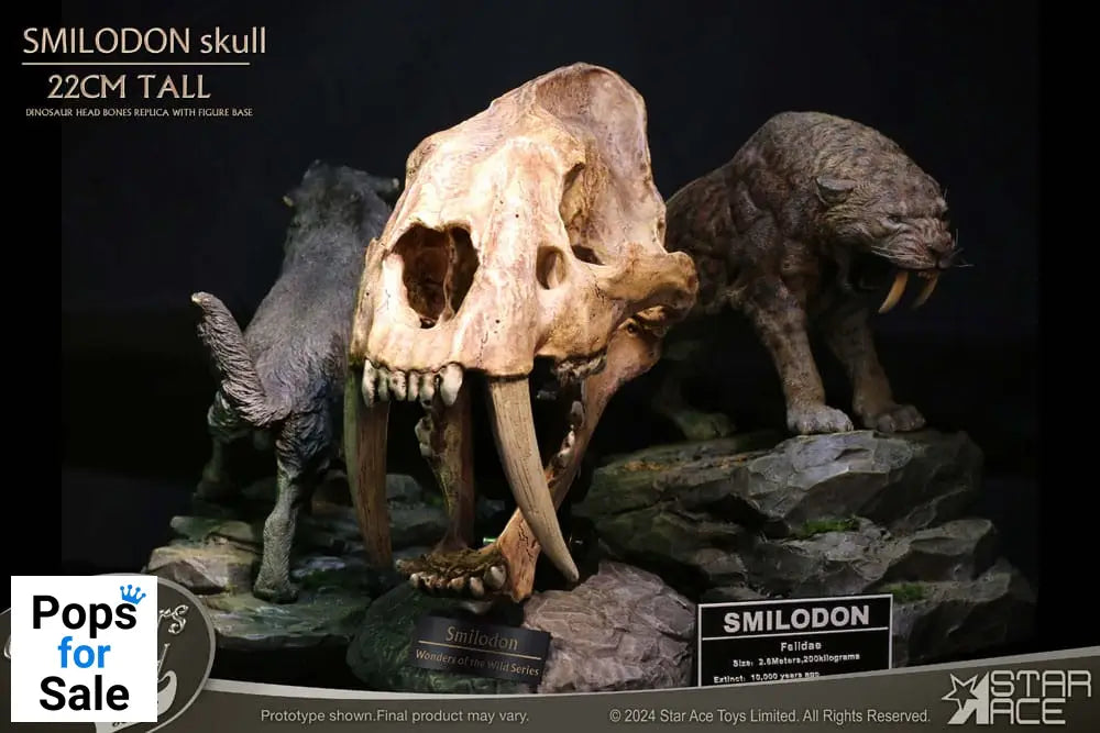 Wonders of the Wild Series Statue Smilodon Skull Fossil 22 cm