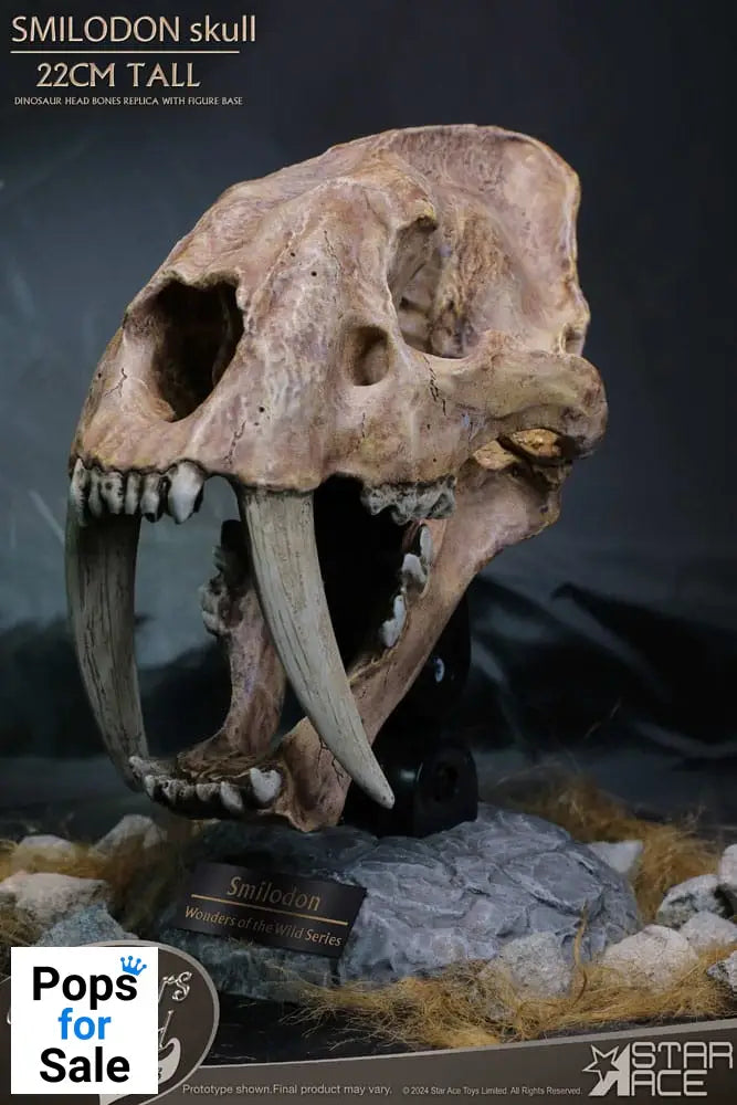 Wonders of the Wild Series Statue Smilodon Skull Fossil 22 cm