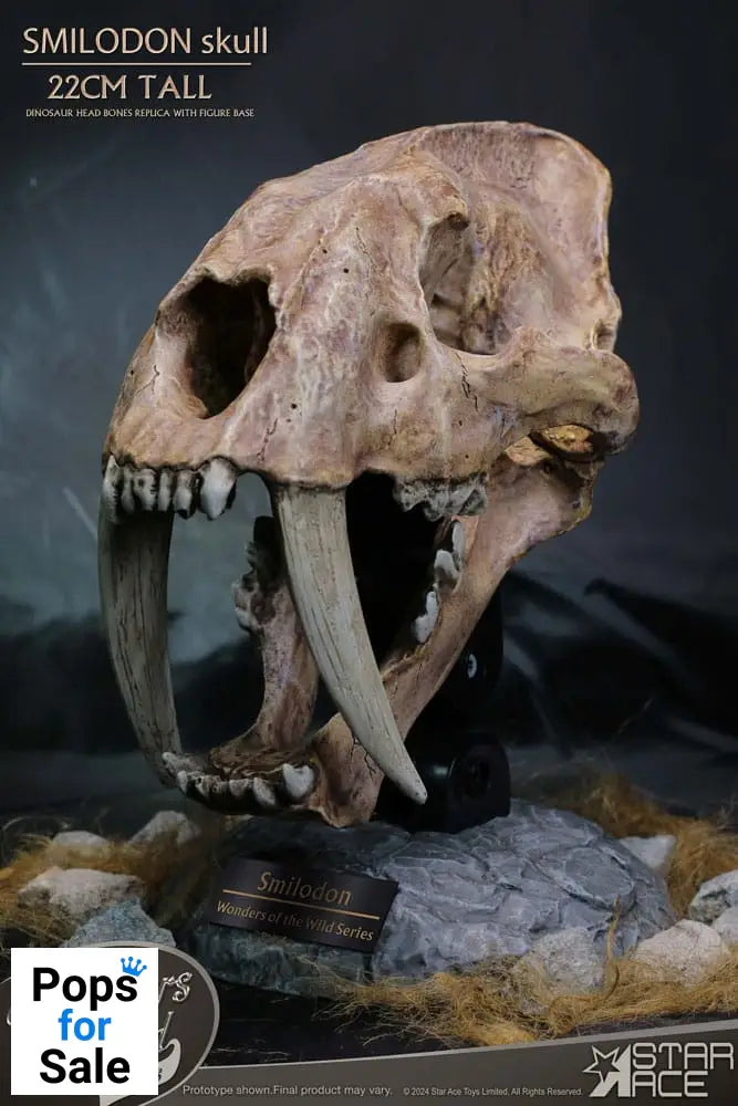 Wonders of the Wild Series Statue Smilodon Skull Fossil 22 cm