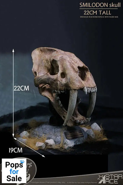 Wonders of the Wild Series Statue Smilodon Skull Fossil 22 cm