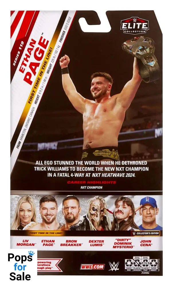 WWE Elite Collection Action Figure Ethan Page 15 cm