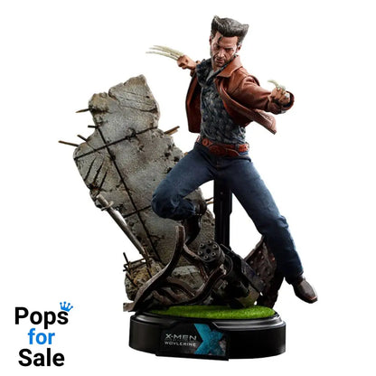 X-Men Days of Future Past Movie Masterpiece Action Figure 1/6 Wolverine (1973 Version) Deluxe Version 30 cm