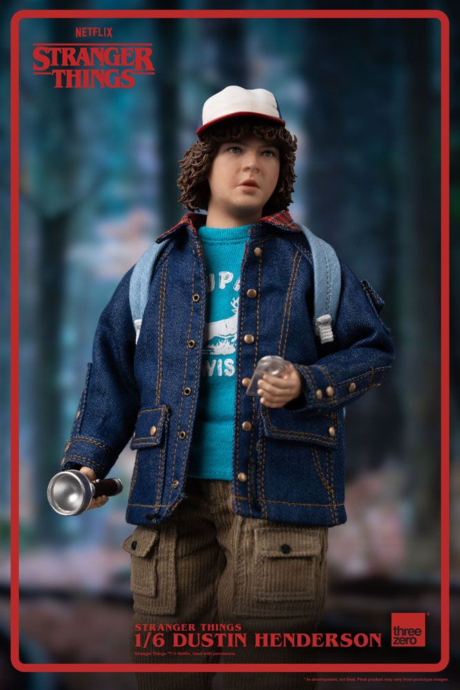 Stranger Things Action Figure 1/6 Dustin Henderson 23 cm Action figures