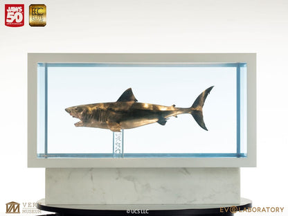 Jaws Maquette 1/18 Jaws Bronze 60 cm