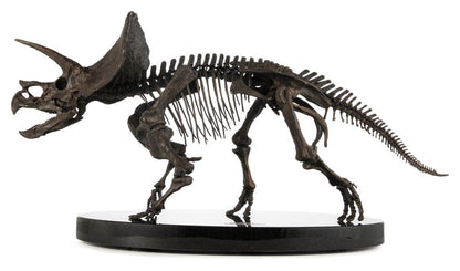Jurassic World ECC Elite Creature Line Statue 1/12 Triceratops Fossil Skeleton Bronze 33 cm