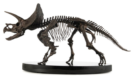 Jurassic World ECC Elite Creature Line Statue 1/12 Triceratops Fossil Skeleton Bronze 33 cm