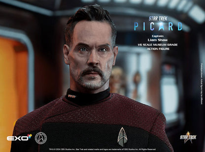 Star Trek: Picard Action Figure 1/6 Captain Liam Shaw 30 cm
