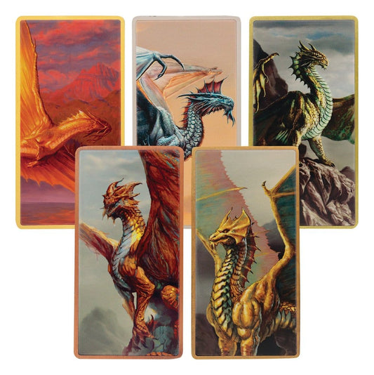 Dungeons & Dragons Ingot Set Magnet Warrior Limited Edition