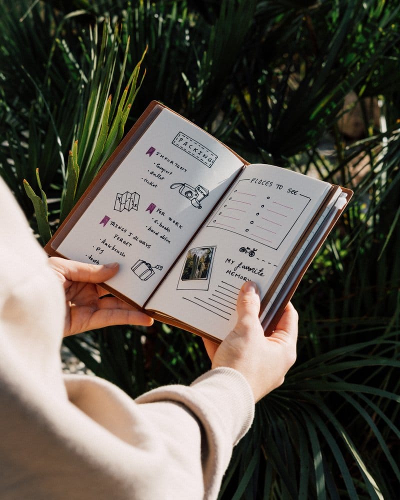 One Piece Travel Journal 20 cm