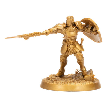 Warhammer Age of Sigmar Miniatures Warhammer Heroes: Stormcast Eternals Display (8) Miniature Gaming & Tabletop