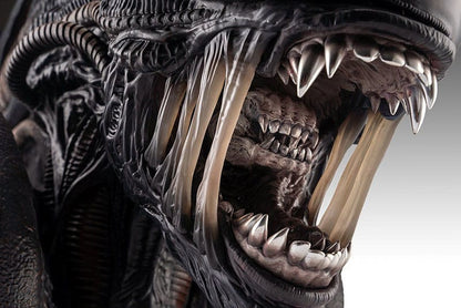 Alien Romulus Bust 1/1 Xenomorph 53 cm Lifesize busts