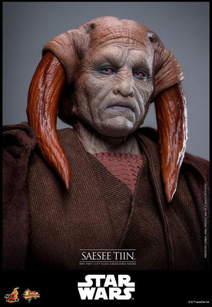 Star Wars: Episode III - Revenge of the Sith Movie Masterpiece Action Figure 1/6 Saesee Tiin 31 cm
