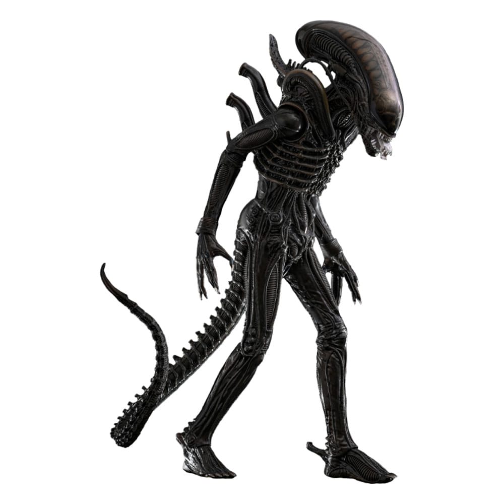 Alien Movie Masterpiece Action Figure 1/6 Big Chap 36 cm