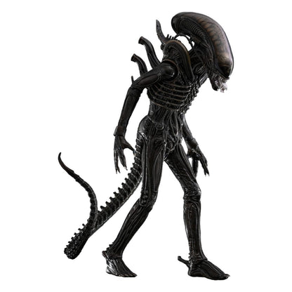 Alien Movie Masterpiece Action Figure 1/6 Big Chap 36 cm Action figures