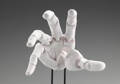 Takahiro Kagami PVC Artist Support Item Hand 1/1 Model Men /R White 22 cm