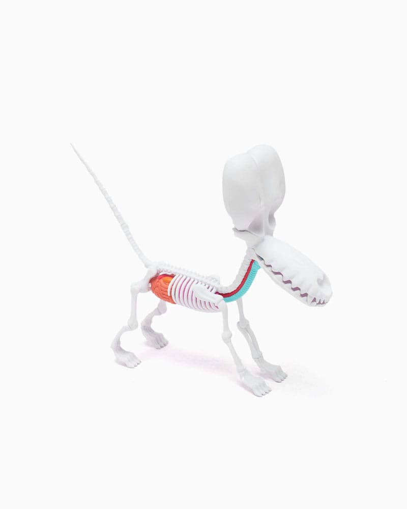Funny Anatomy Honey Edition Balloon Dog Statue