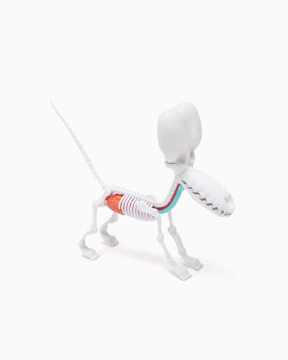 Funny Anatomy Honey Edition Balloon Dog Statue