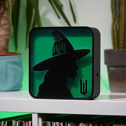 Wicked Acrylic Light Witch Lamps / Lights