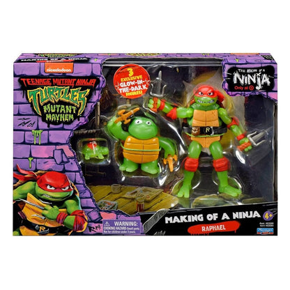Teenage Mutant Ninja Turtles: Mutant Mayhem Action Figure Evolution Assortment (6)