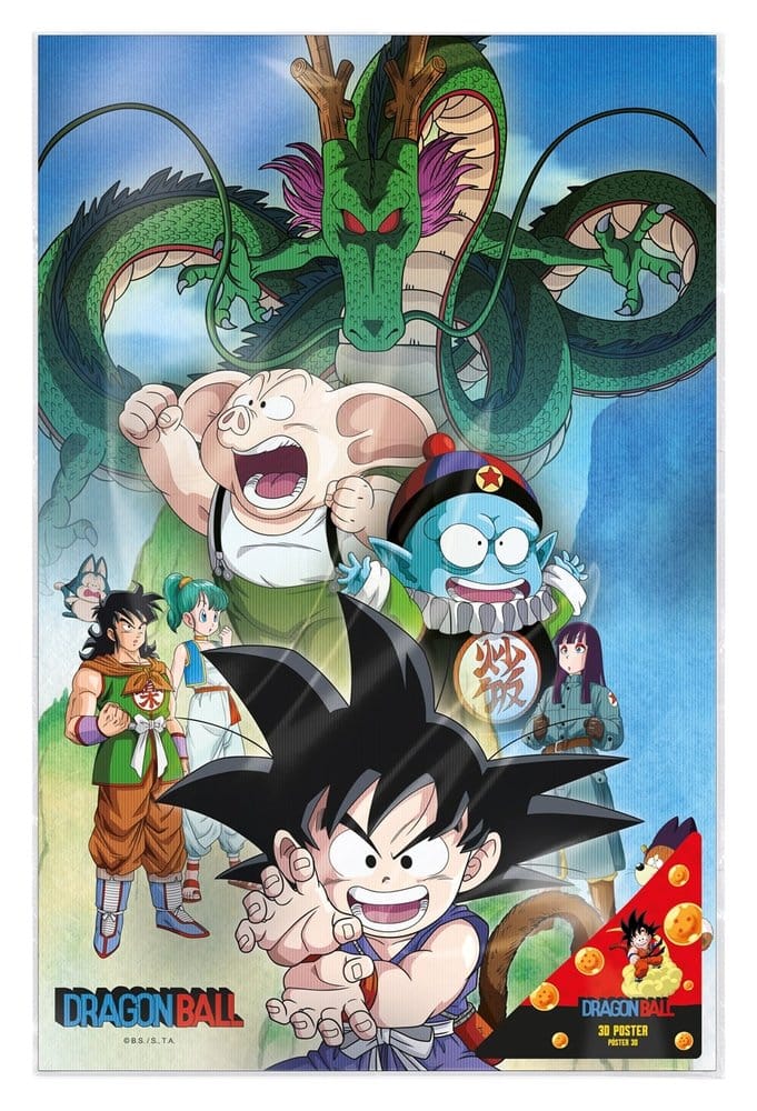 Dragon Ball 3D Poster Shenron & Heroes 38 x 58 cm