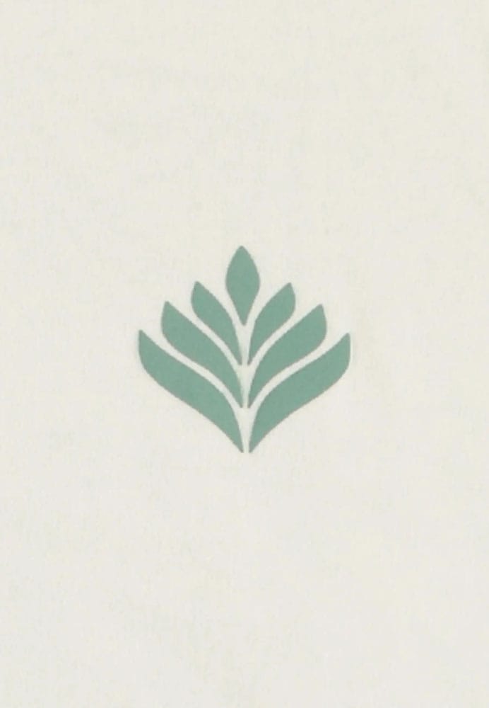 Pokémon Tank Top Bulbasaur Size M