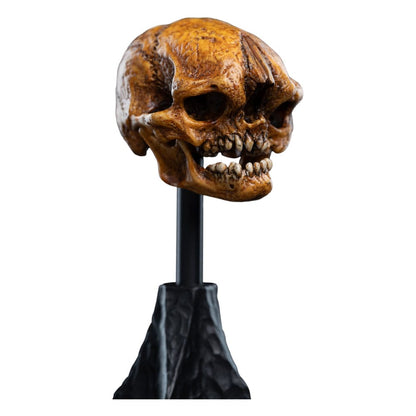 Lord of the Rings Mini Statue Skull of a Misty Mountain Goblin 14 cm Statues