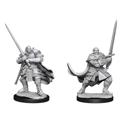 D&D Nolzur's Marvelous Miniatures Unpainted Miniatures Half-Orc Paladin Male Case (2)