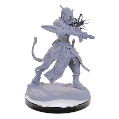 D&D Nolzur's Marvelous Miniatures miniature Unpainted Tiefling Warlocks
